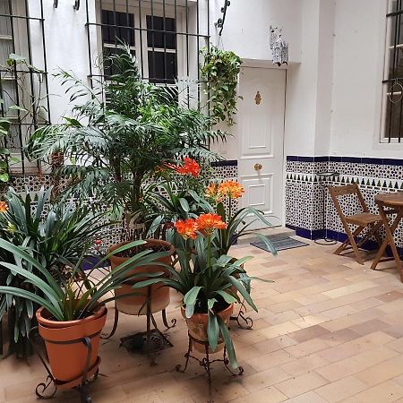 חרז Apartamento Cruz Vieja מראה חיצוני תמונה